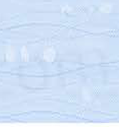 322.06011 · Catalog fabric style