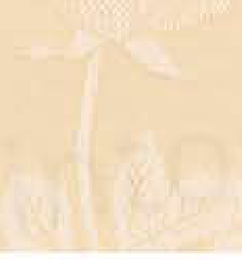 322.10117 · Catalog fabric style