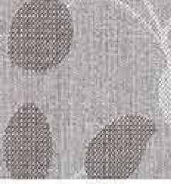 323.05003 · Catalog fabric style