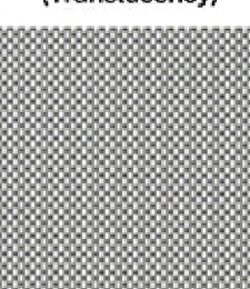 321.02343 · (Full Blackout)