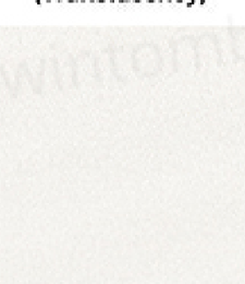 331.01081 · Catalog fabric style