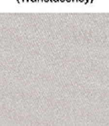 331.01084 · Catalog fabric style