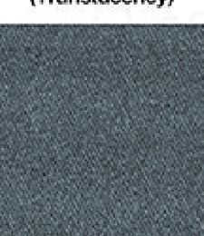 331.01085 · Catalog fabric style