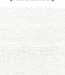 331.01501 · Catalog fabric style