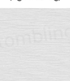 331.01903 · Catalog fabric style