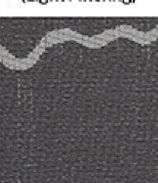 331.02407 · Catalog fabric style