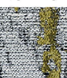 331.02424 · Catalog fabric style
