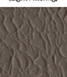 331.02442 · Catalog fabric style