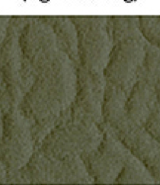 331.02444 · Catalog fabric style
