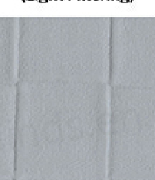 331.02447 · Catalog fabric style
