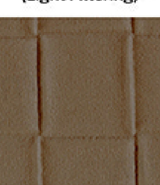 331.02449 · Catalog fabric style
